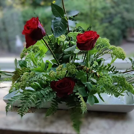 Hotel Thy Event & Naturcenter Frostrup